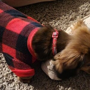 Red and Black Plaid Dog PJs